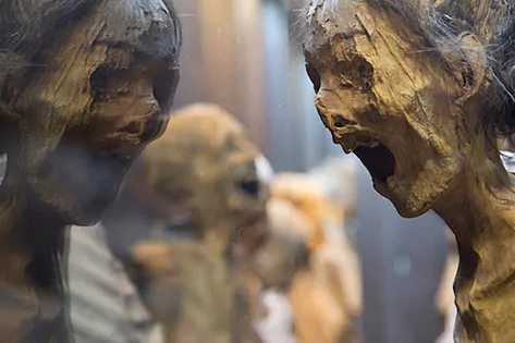 Las momias fueron desenterradas a partir de la década de 1860.