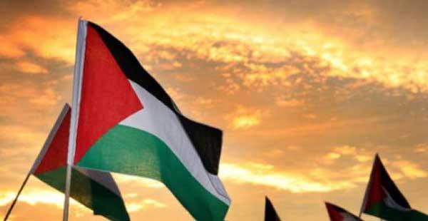 Se creó la Organización para la Liberación Palestina-0