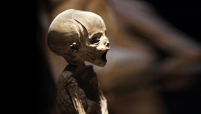 Encuentran un obispo sueco momificado, enterrado junto a un bebé-0
