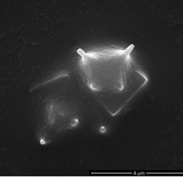 Panspermia: revolucionario estudio astrobiológico logra fotografiar un organismo extraterrestre-0
