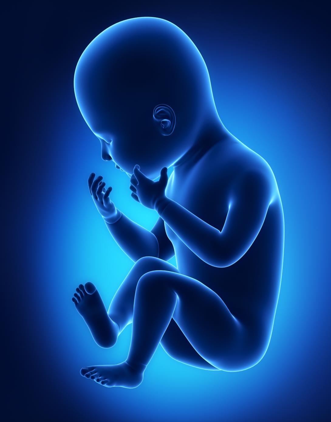 ¿Y el milagro de la vida? Se aprobó la modificación genética de embriones humanos. -0